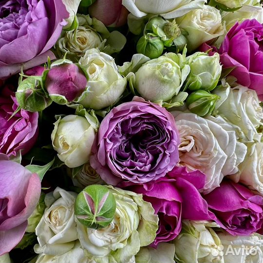 25 Кустовых роз 50 см Доставка Саратов Энгельс