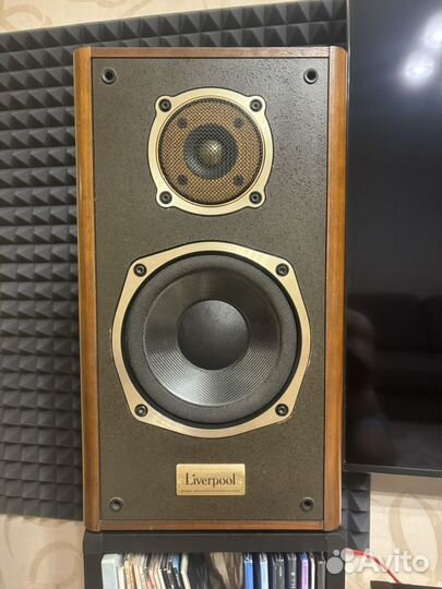 Акустические колонки Onkyo Liverpool d500