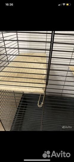 Клетка для шиншиллы