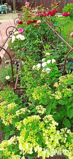 Опора для растений