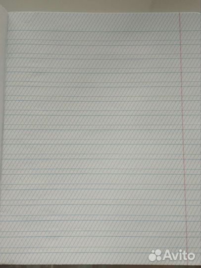 Тетрадь/пропись