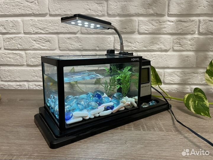 Аквариум