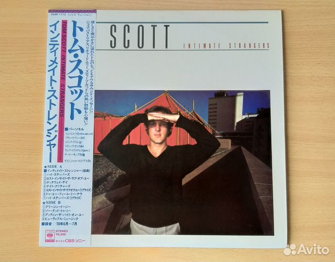 LP Мелодичный легкий джаз фьюжн (Japan) Mint