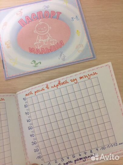 Паспорт новый
