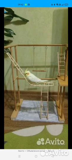 Продам стенд для попугая