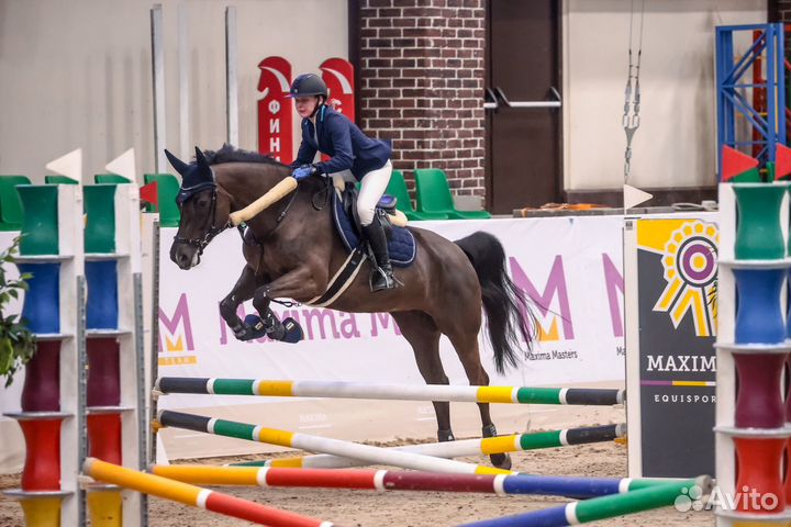 Конный спорт,выездка,конкур.Обучение верховой езде