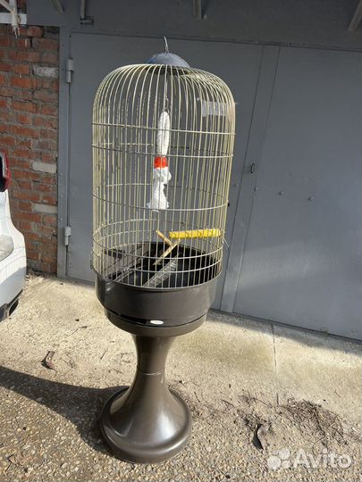 Продам большую клетку для попугая