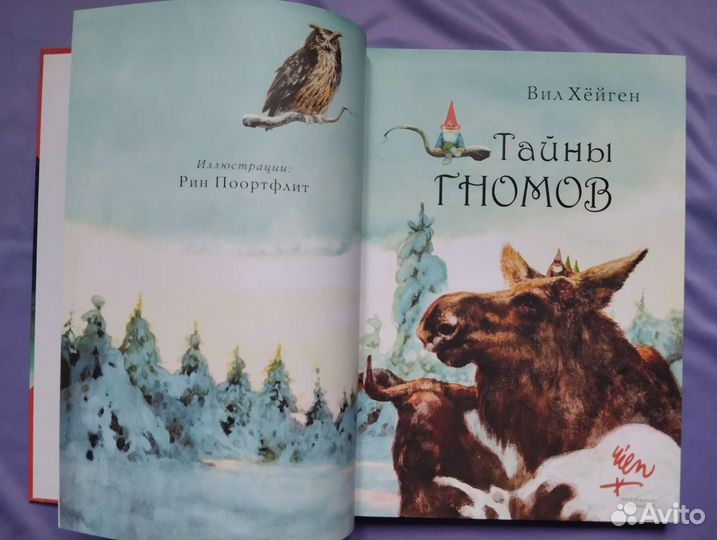 Тайны гномов. Книга