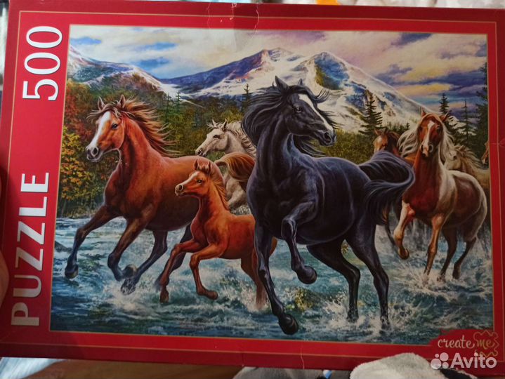 Пазл 500 Табун диких лошадей