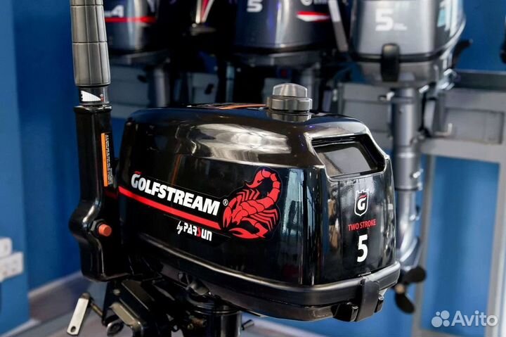 Лодочный мотор Golfstream (Гольфстрим) T 5 BMS Вит