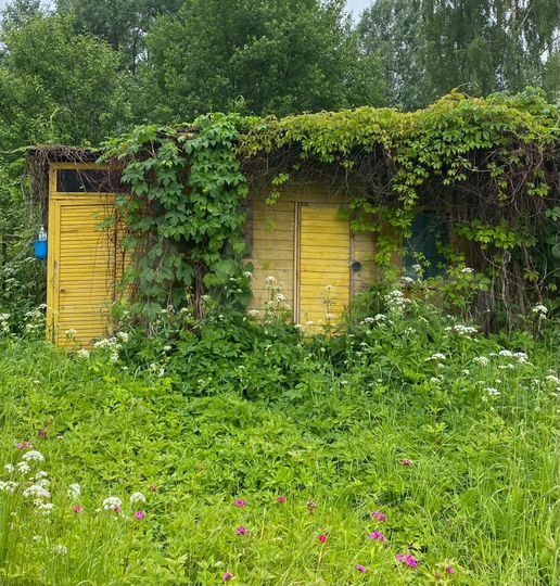 Дом 50 м² на участке 6 сот.