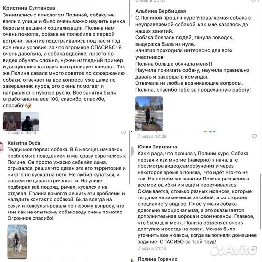 Дрессировка собак Воронеж