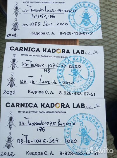 Пчелопакеты карника