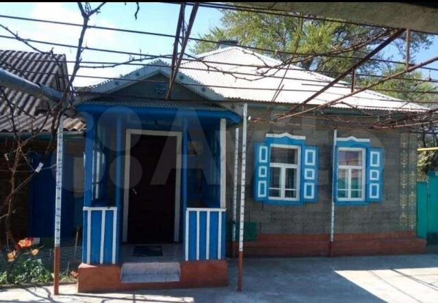 Старопавловская ставропольский край погода на 10. Станица Старопавловская Ставропольского края. Дуб станица Старопавловская Ставропольский край. Дуб станицы Старопавловской. Ст Старопавловская школа.