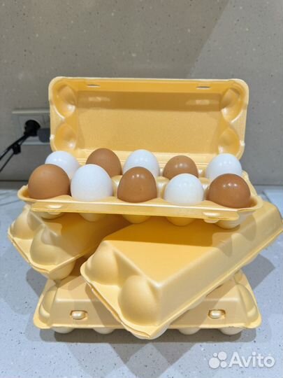 Домашние куриные яйца