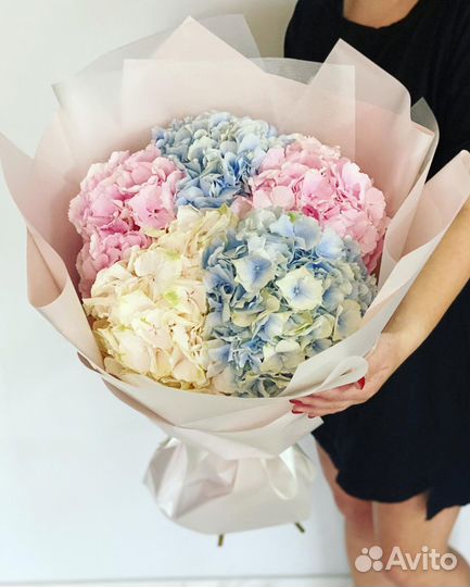 Красивые Букеты из Гортензий. Доставка/Самовывоз