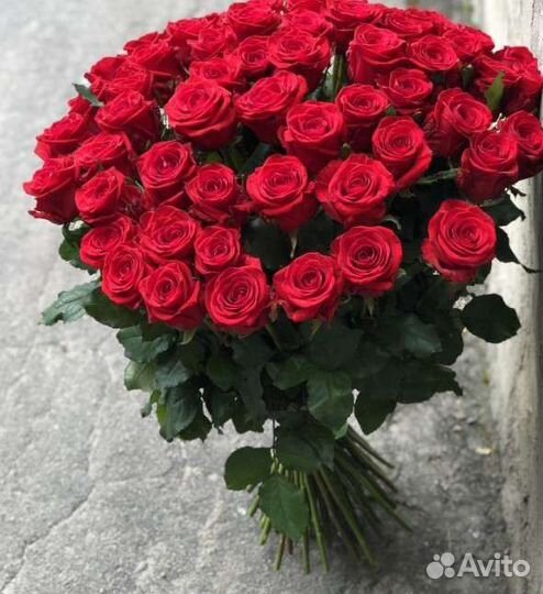 Розы Красные. Высокие 60 см