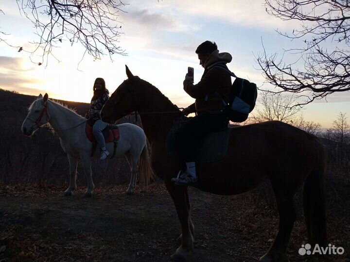 Верховые, романтические прогулки на лошадях и пони