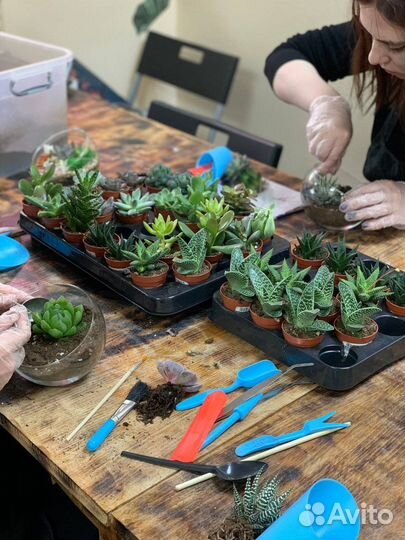 Мастер-класс по созданию флорариума с суккулентами