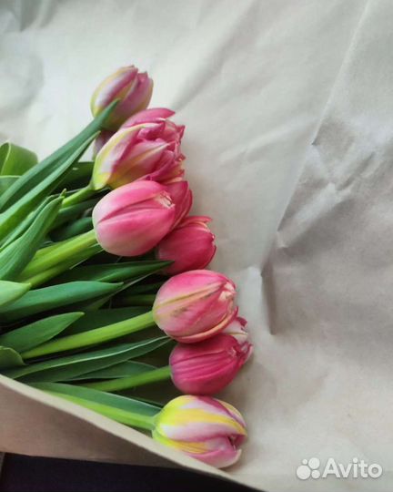 Ведение профиля в соцсетях