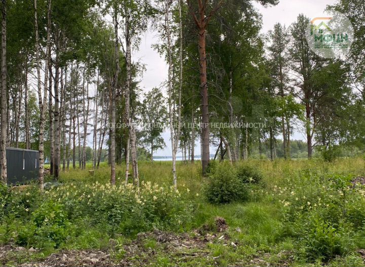 Участок 12 сот. (СНТ, ДНП)