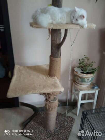 Домики для животных