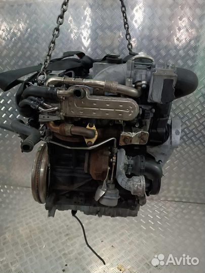 Двигатель Volkswagen Golf 5 2003-2009 1.9 BKC