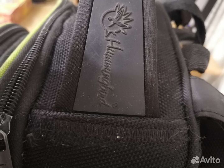 Рюкзак школьный hummingbird