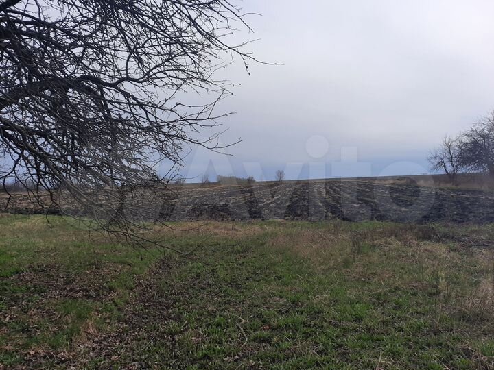 Дом 64,1 м² на участке 50 сот.