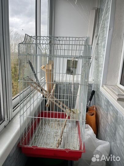 Клетка для попугая