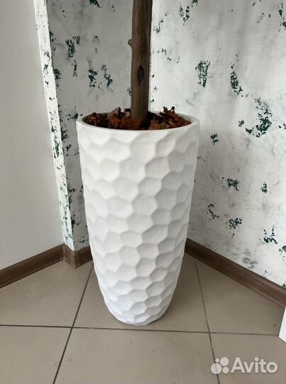 Дерево в вазе