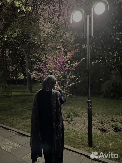 Веб дизайнер