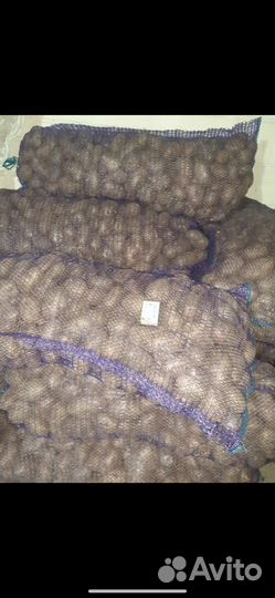 Продается картошка