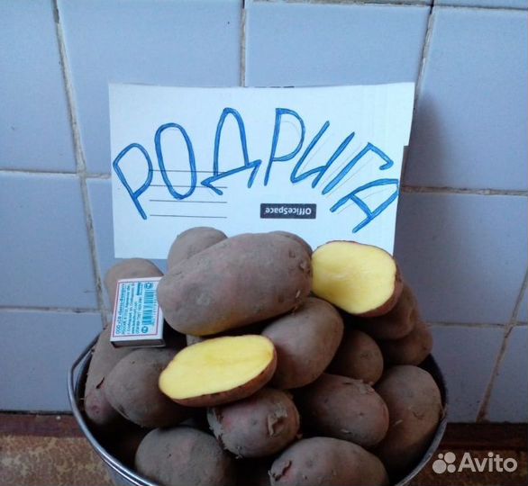 Картофель оптом