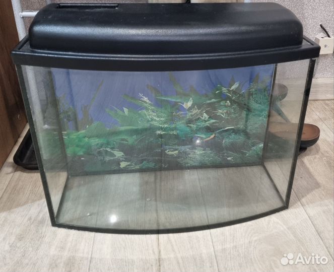Аквариум 20л
