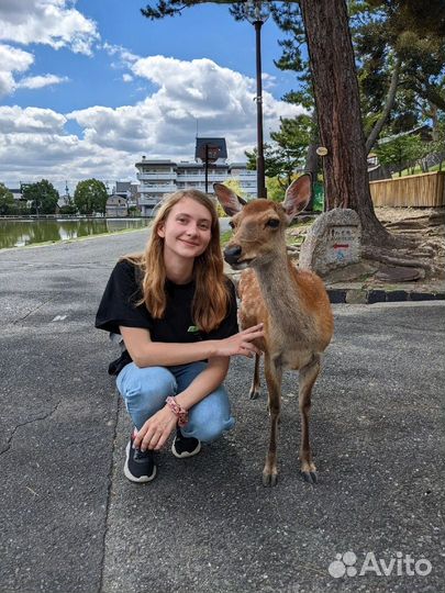 Репетитор по японскому языку