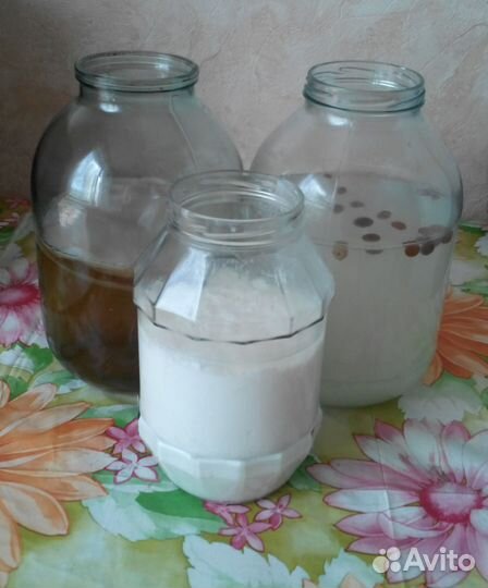 Чайный, молочный грибы, морской рис