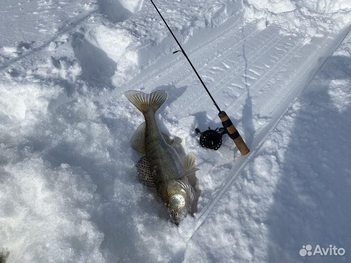 Катушка зимняя мультипликаторная LEO