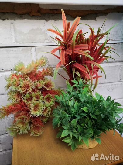 Для аквариума