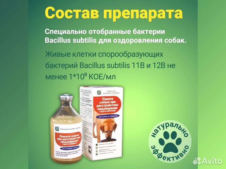 Пробиотик Помоги собаке при расстройствах пищеварения