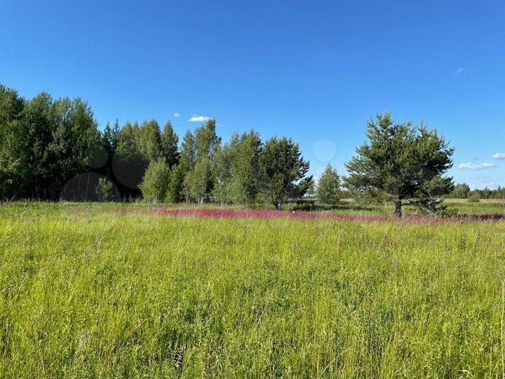 Участок 16,6 сот. (ИЖС)