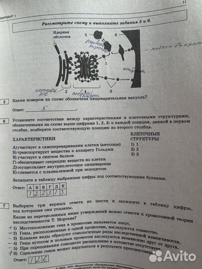 ЕГЭ Биология 2024 Рохлов