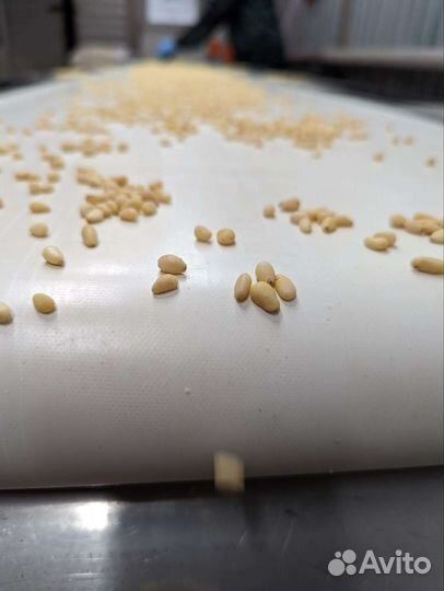 Ядро кедрового ореха