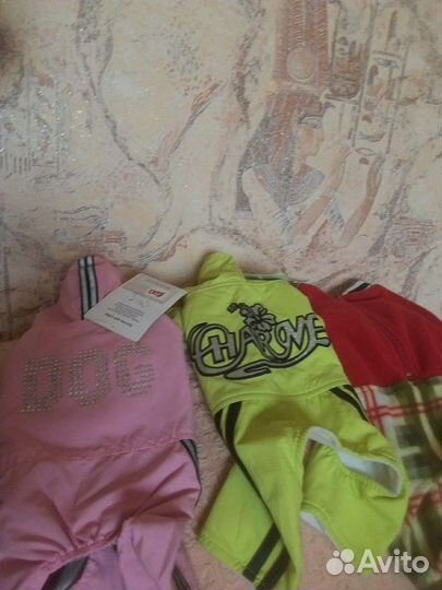 Одежда для собак