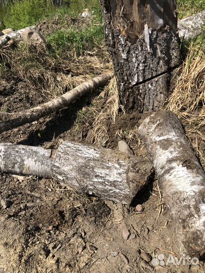 Дрова бесплатно самовывоз