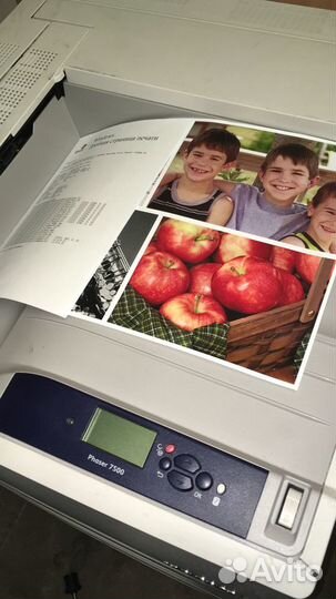 Xerox phaser цветной лазерный принтер SRA3+ 300 гр