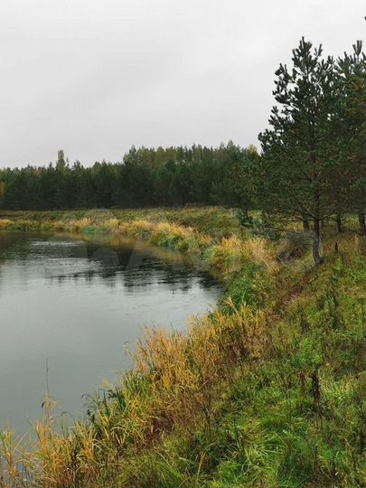 Участок 31,8 га (промназначения)