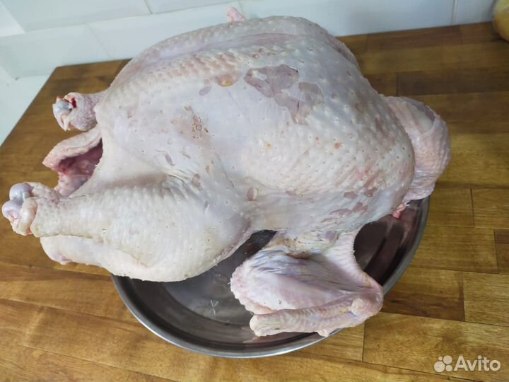 Мясо домашней птицы: индейка, утка