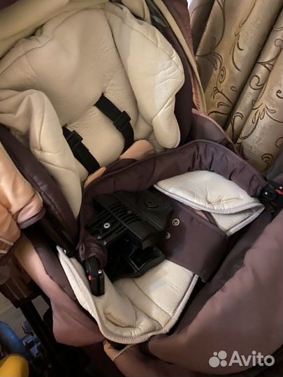 Коляска zippy 3 в 1 pia