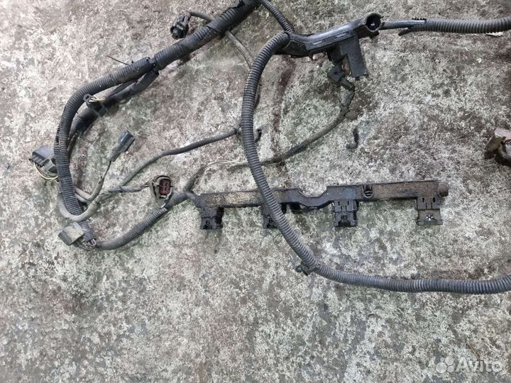 Проводка двигателя Фьюжн